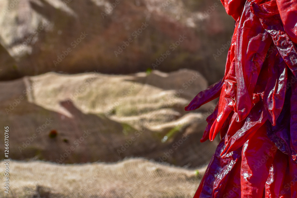 Dried New Mexico Chiles
Dried New Mexico Chiles