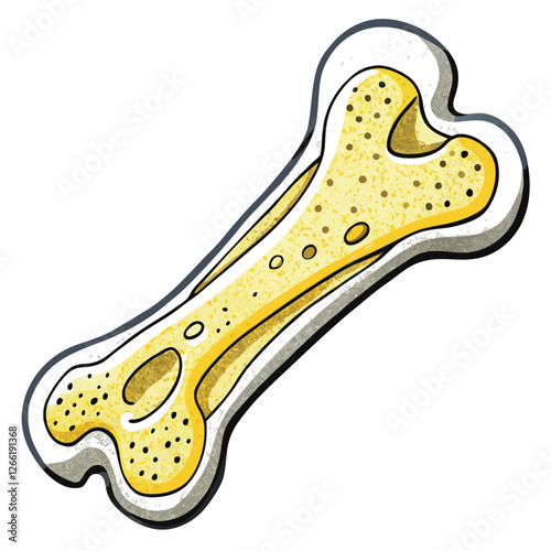 Highly detailed macro photograph of a pale white human bone, revealing its porous, spongy interior structure.  Focus on texture and detail.