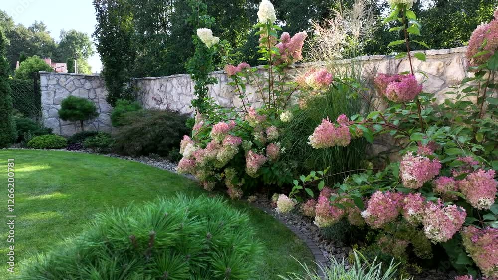 Beautiful Garden Blooms in Early Afternoon Sunlight