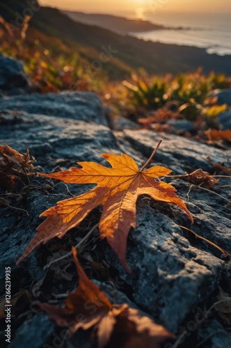 Wallpaper Mural A close-up of an orange leaf resting on a rock with a scenic sunset in the background. Torontodigital.ca