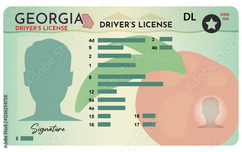 Georgia driver's license. Person driver license isolated on white background.