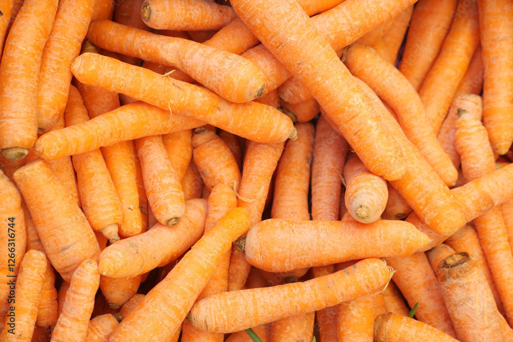 Freshly harvested carrots piled together at a market Freshly harvested carrots piled together at a market
