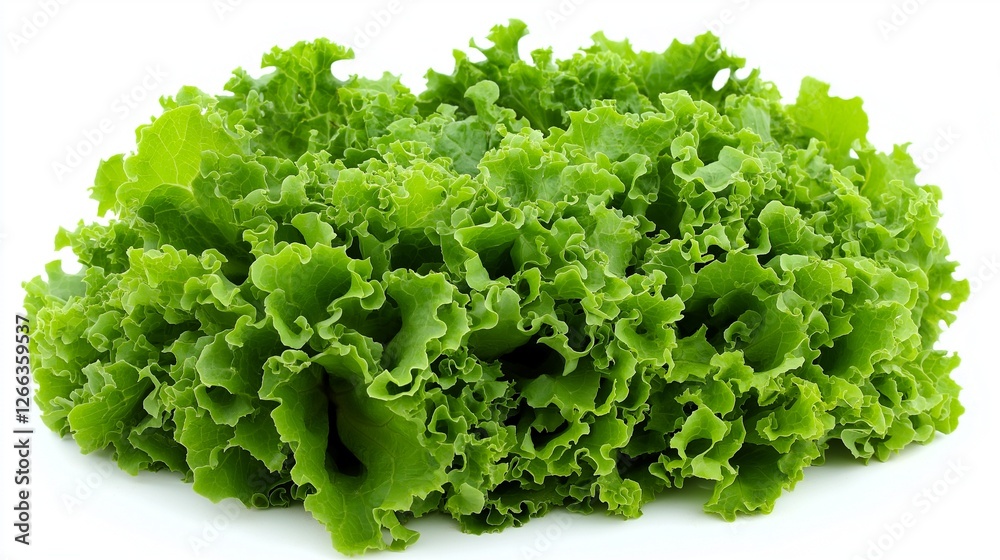 Crisp Green Lettuce: A vibrant and lush head of green leaf lettuce, showcasing its fresh, crisp texture and deep green color. Perfect for salads, sandwiches, or as a healthy side dish.Generative ai. Crisp Green Lettuce: A vibrant and lush head of green leaf lettuce, showcasing its fresh, crisp texture and deep green color. Perfect for salads, sandwiches, or as a healthy side dish.Generative ai.