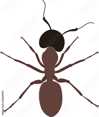 Single Red Wood Ant Animal