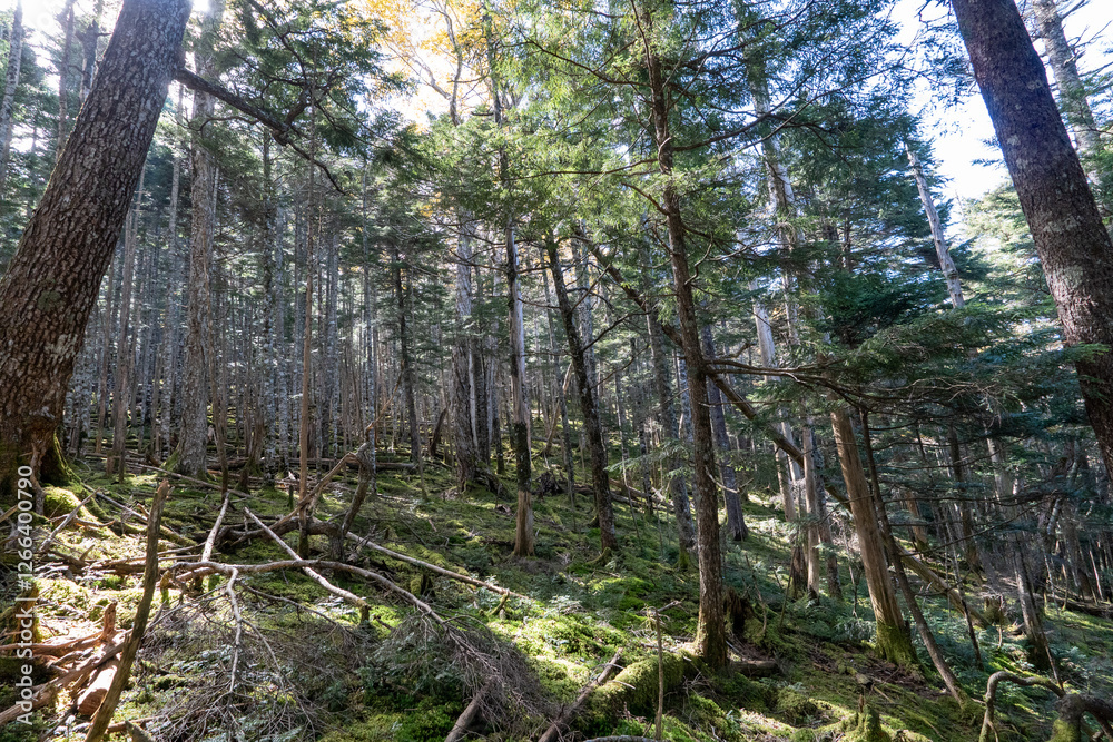 Obraz premium Kunishigatake, Koubushigatake and surrounding views