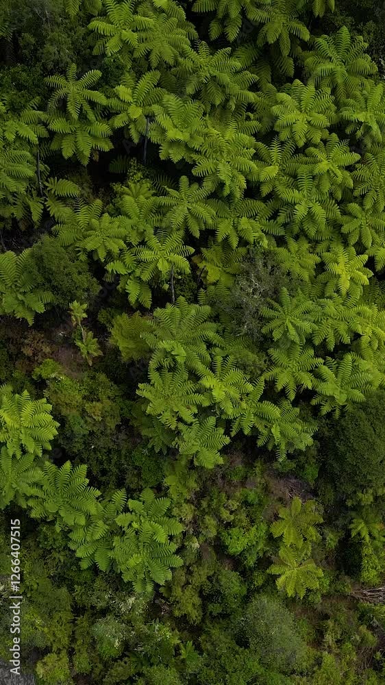 An aerial view of lush green textures, showing the beauty of nature's patterns in perfect harmony. An aerial view of lush green textures, showing the beauty of nature's patterns in perfect harmony.