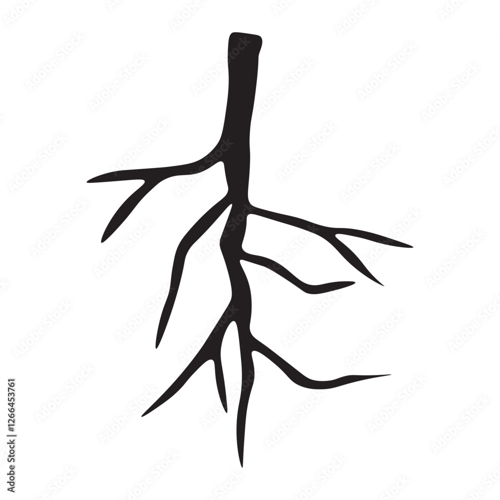 Fototapeta premium Taproot