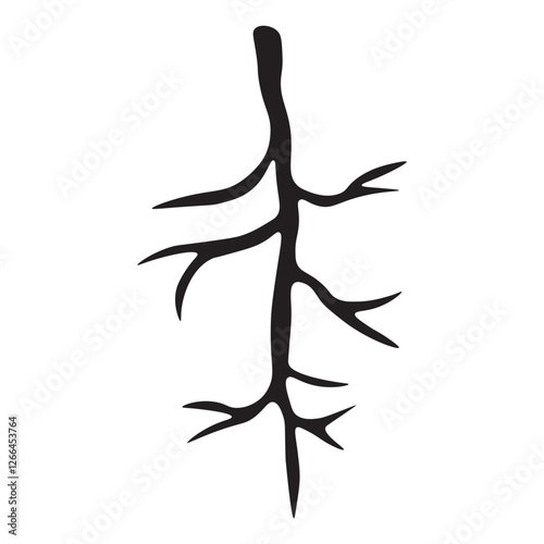 Taproot