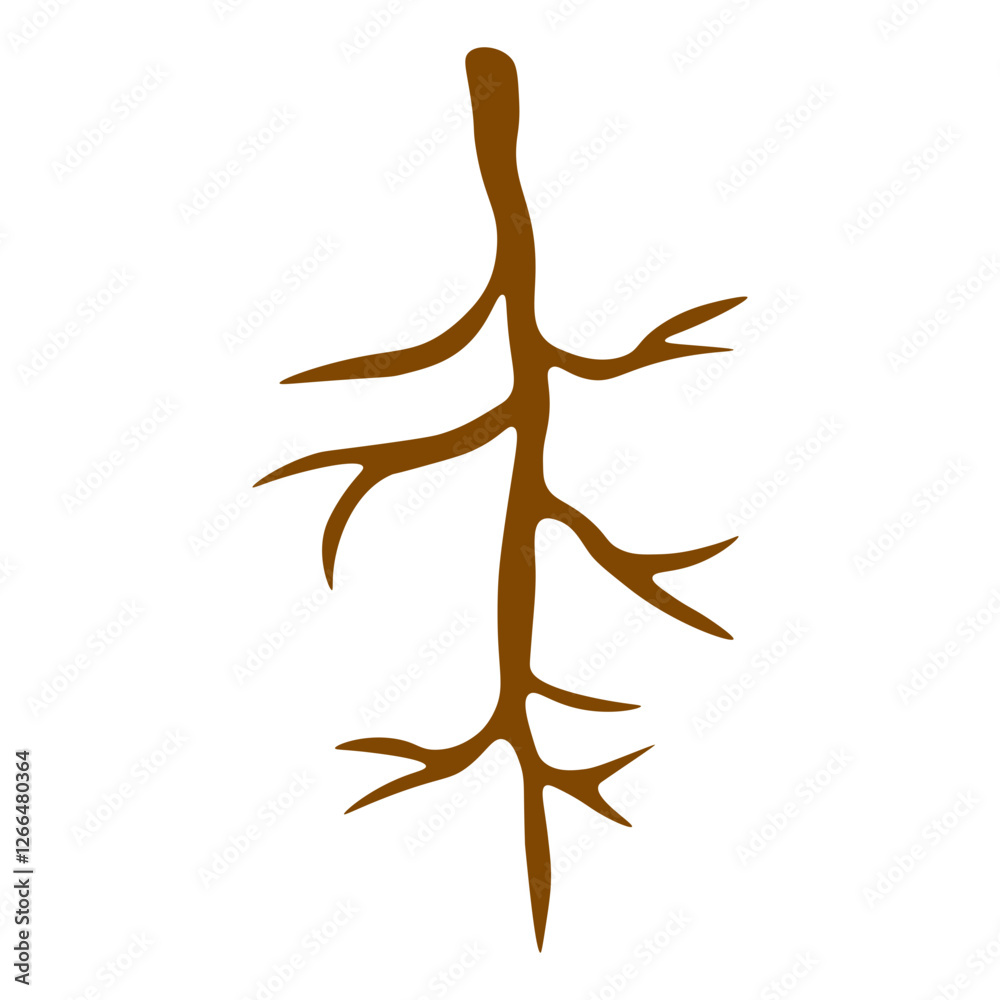 Obraz premium Taproot