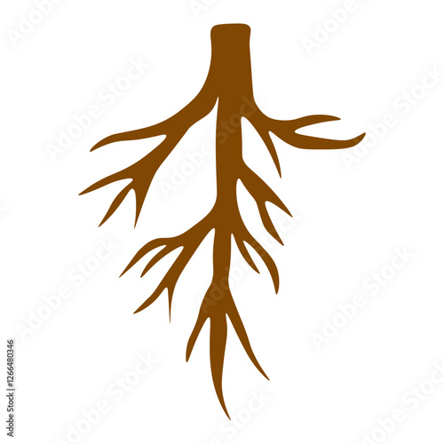 
Taproot
