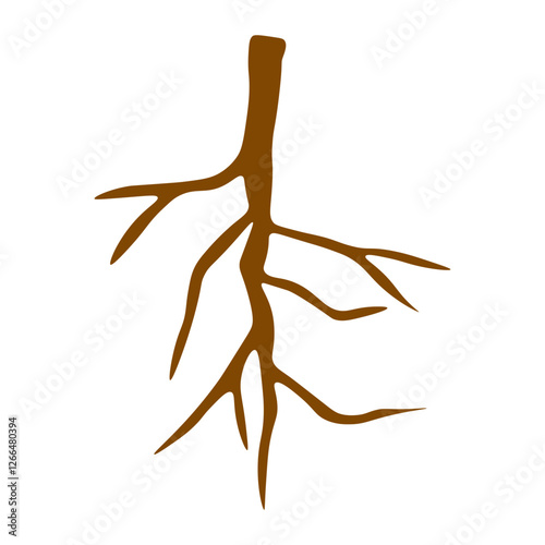Taproot