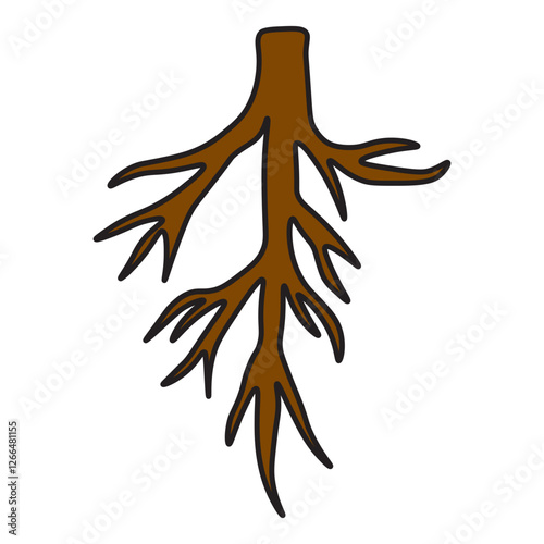Taproot