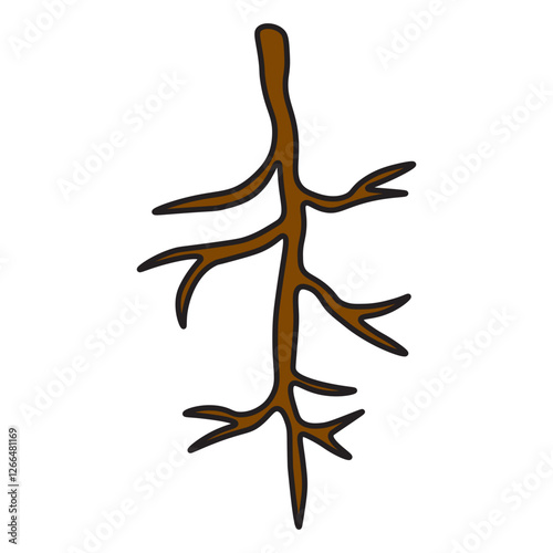 Taproot