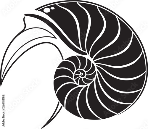 vector illustration of a snail shell, vector illustration of seashell