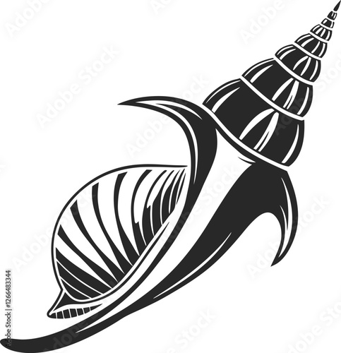 vector illustration of a snail shell, vector illustration of seashell