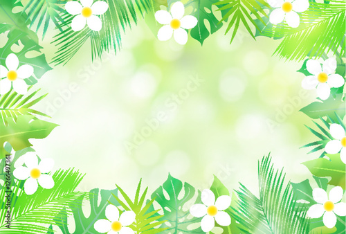ヤシ　プルメリア　観葉植物　背景