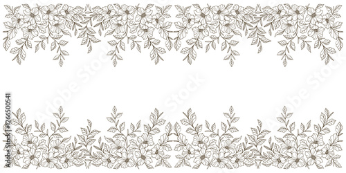Line art floral botanical on transparent background vector. floral, flowers, leaves, foliage, branches in hand drawn. Floral frame design