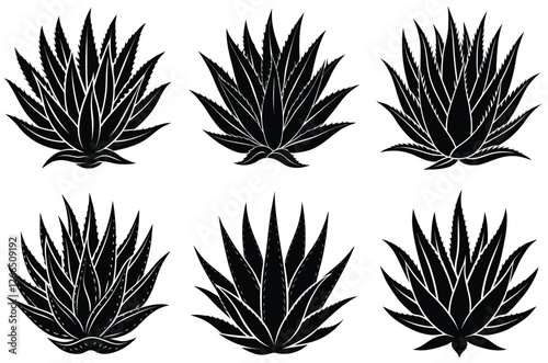 Aloe Vera Silhouette set, Aloe Vera vector icon Silhouette