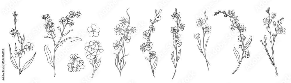 Set of Forget me not flower line art vector illustrations. Myosotis monochrome hand drawn black ink sketch isolated on transparent background. Modern minimalist design for tattoo, jewelry, logo.