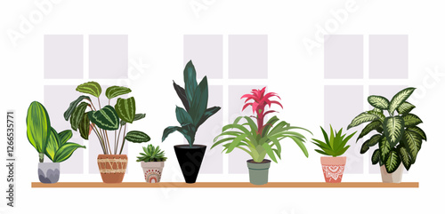 Potted plants set. Interior houseplants in planters on the window. Home indoor green decor. Different succulents, cacti, evergreen plants. Flat graphic vector realistic illustrations isolated.