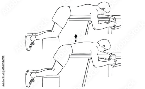 Reverse Hyperextension Exercise: Strength Training Workout Illustration for Lower Back & Glutes