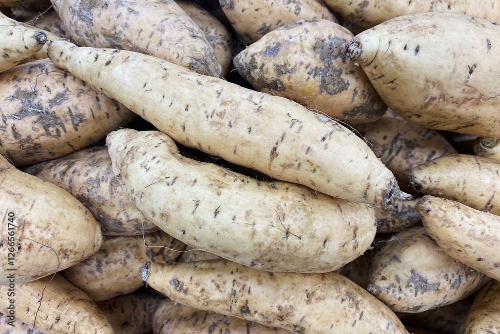 White sweet potatoes (Ipomoea batatas) White sweet potatoes (Ipomoea batatas)