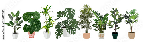 Indoor plants vector illustrations set. Realistic house plants in hand made pots. Exotic flowers with stems and leaves. Ficus, palm, monstera, dracaena, yucca, isolated botanical design elements.