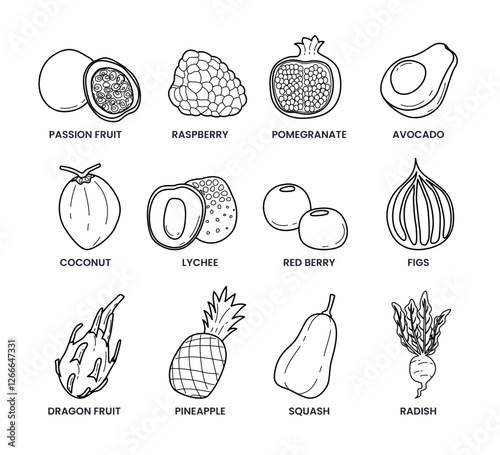Set of different fruits and vegetables doodle outline collection isolated white background passion fruit, raspberry, pomegranate, avocado, coconut, lychee, red berry, figs, dragon fruit, pineapple.