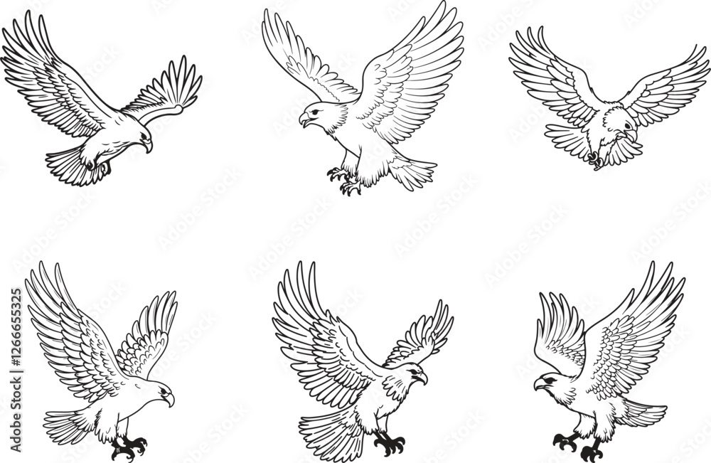 Fototapeta premium set of eagle silhouette line art vector