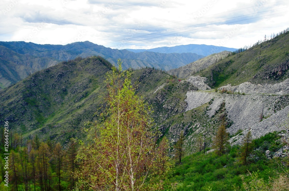 Obraz premium Altai Mountains, Altai Mountain Ranges