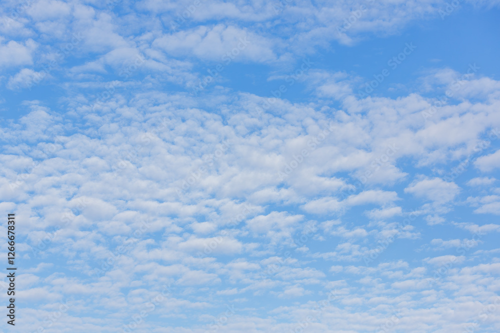 A vast blue sky with scattered white clouds, creating a peaceful and serene atmosphere, perfect for backgrounds and nature themes. A vast blue sky with scattered white clouds, creating a peaceful and serene atmosphere, perfect for backgrounds and nature themes.