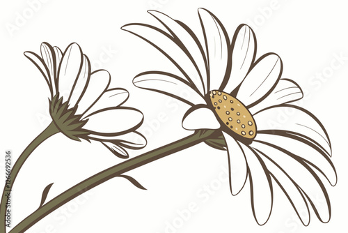  Photo of a white embroidered daisy flower on a white background, with a yellow center, intricate stitching detail, soft and delicate texture, high quality, close-up shot, no watermark, no jpeg arti