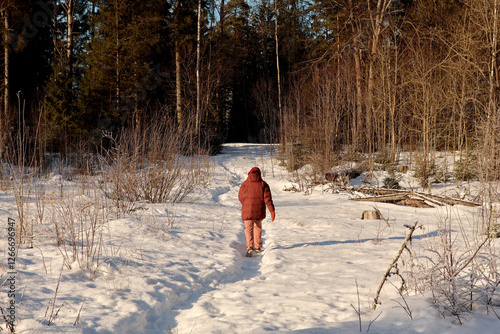 Obraz na płótnie Winter