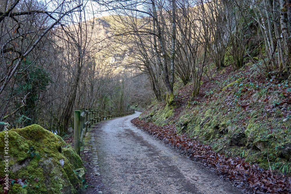 Peaceful nature walk along a winding path in Redes Natural Park, Asturias, Spain Peaceful nature walk along a winding path in Redes Natural Park, Asturias, Spain