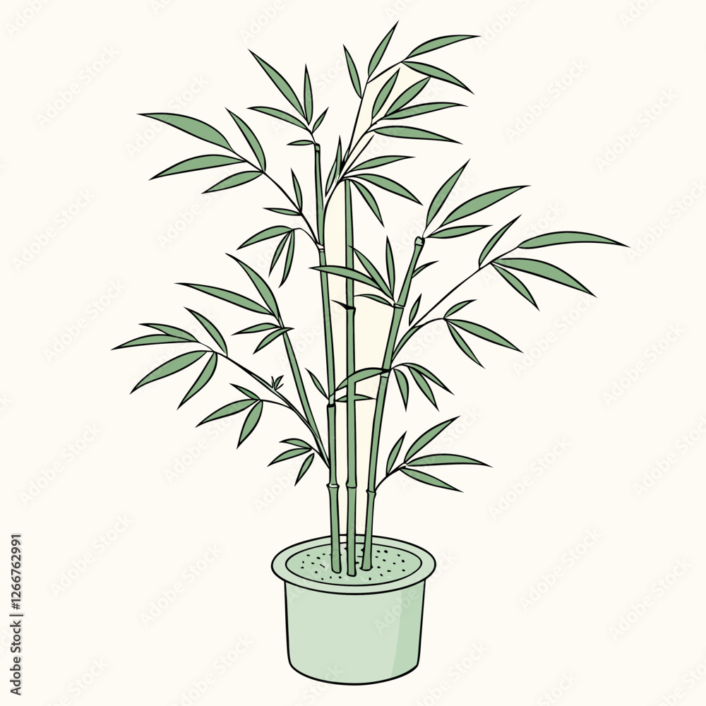 Fototapeta premium green bamboo plant in pot vector illustration