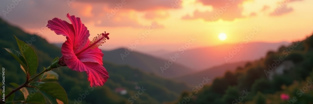 Solitary pink hibiscus, sunrise paints distant hills gold , petal, sunrise, plant Solitary pink hibiscus, sunrise paints distant hills gold , petal, sunrise, plant