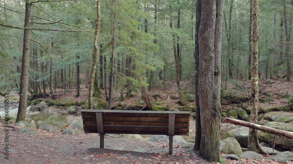 Crawford Notch Park in New Hampshire offers stunning autumn foliage, a rustic wooden bench for resting, and a serene stream, all surrounded by lush trees, New Hampshire, USA Crawford Notch Park in New Hampshire offers stunning autumn foliage, a rustic wooden bench for resting, and a serene stream, all surrounded by lush trees, New Hampshire, USA