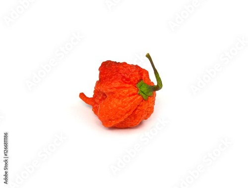 Carolina Reaper, the hottest chile pepper Capsicum chinense, whole ripe pod, isolated on white background. Superhot or extremely hot chile pepper photo