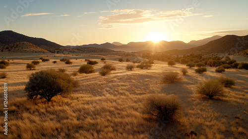 Sustainable Solutions for Arid Landscapes and Climate Challenges photo