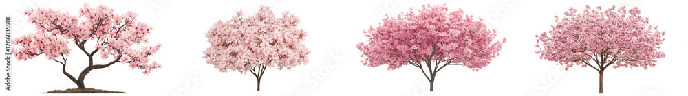Lush and Vibrant Pink Cherry Blossom Trees in Full Bloom During the Picturesque Springtime Season Creating a Serene and Ethereal Floral Landscape Lush and Vibrant Pink Cherry Blossom Trees in Full Bloom During the Picturesque Springtime Season Creating a Serene and Ethereal Floral Landscape