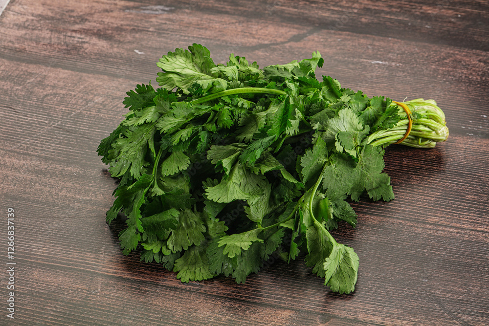 Fresh green cilantro branches heap Fresh green cilantro branches heap