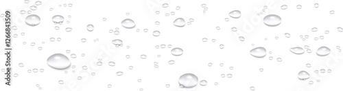 Realistic vector water drops isolated on transparent background. High-quality illustration of droplets after rain, morning dew, and condensation on glass surfaces. Water texture with drops