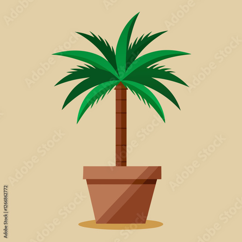 palm tree in a pot