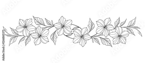 Line art floral botanical on transparent background vector. floral, flowers, leaves, foliage, branches in hand drawn. Floral element design