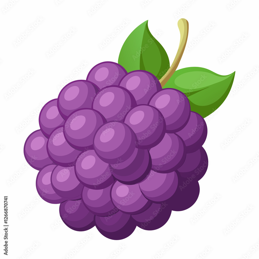 puffy mulberry cluster