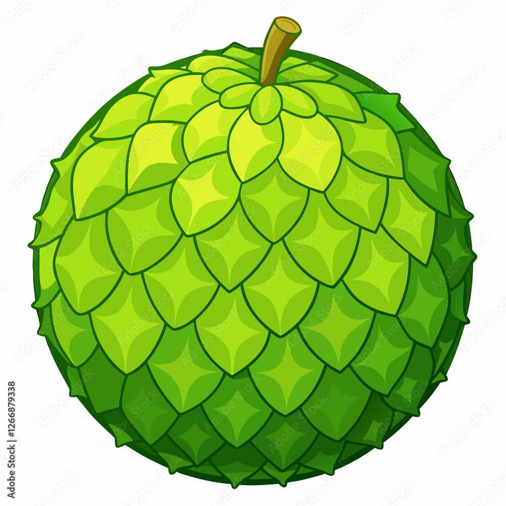 bulging breadfruit sphere isolated on white bulging breadfruit sphere isolated on white