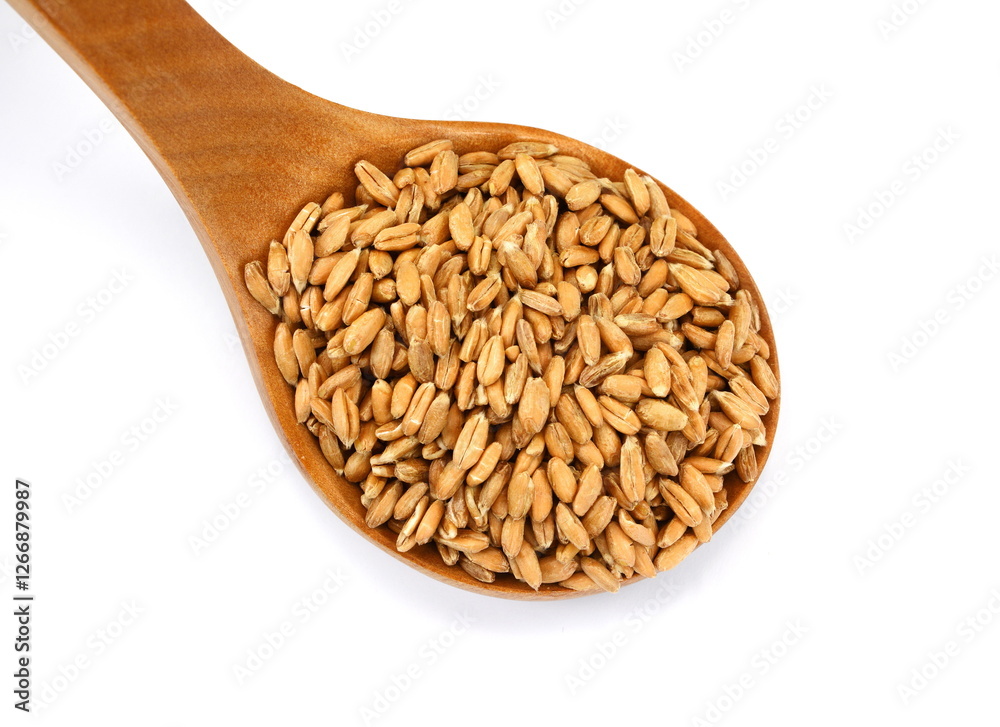 spelt grain in a wooden spoon isolated on white background spelt grain in a wooden spoon isolated on white background