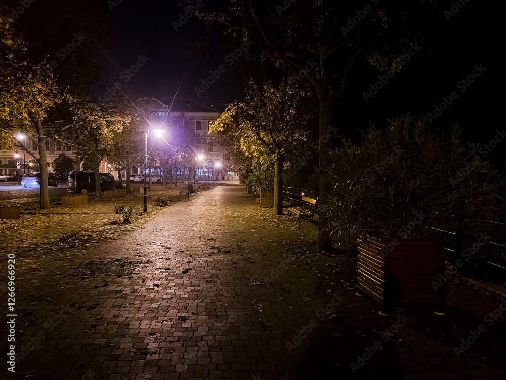 Obraz premium Night photo of the street of Baja