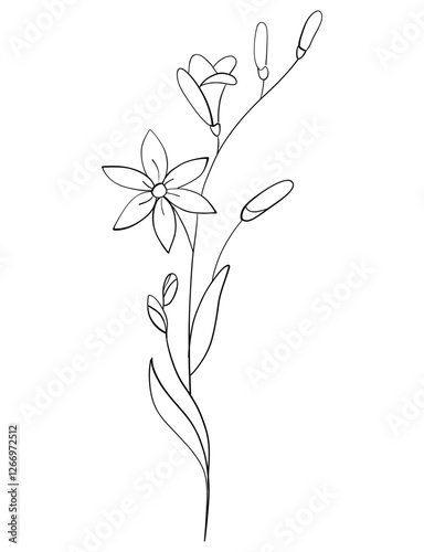 orchid tiny wild flowers and plants line art botanical illustrations. Trendy greenery hand draw lines black ink sketches. vector illustration