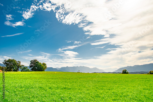 Scenic green meadow with trees under blue sky in Bavaria, Germany